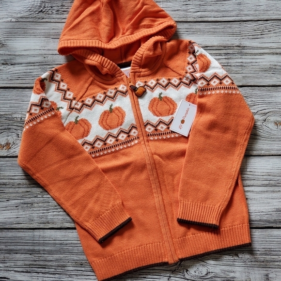 Gymboree Orange Pumpkin Sweater Lil's Pumpkin Collection Hooded Zip Up Sweater - Picture 14 of 14